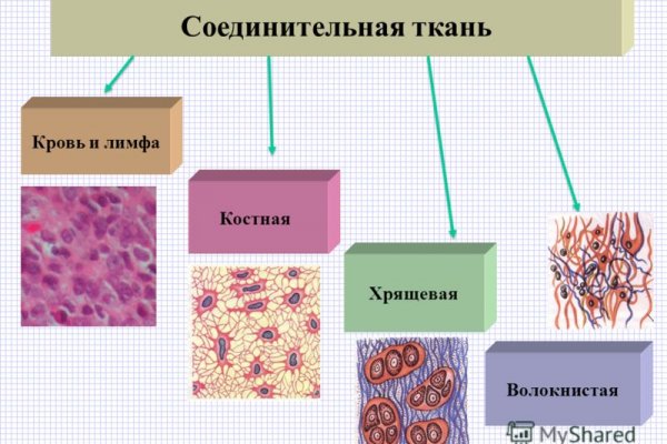 Кракен зеркала официальные