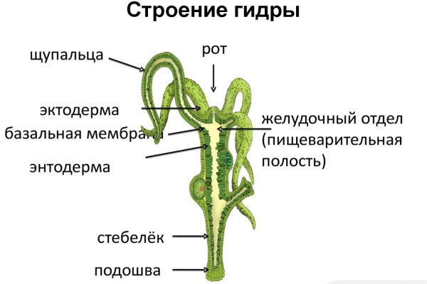 Ссылка в даркнет