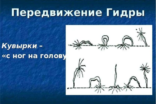 2kr kraken