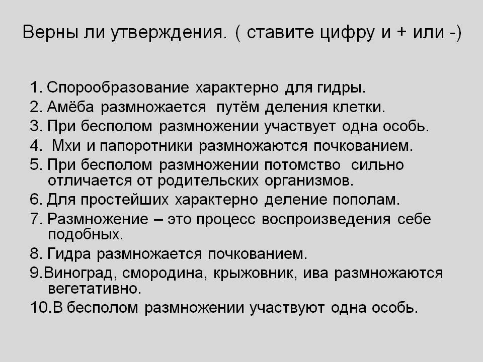 Что за кракен маркет