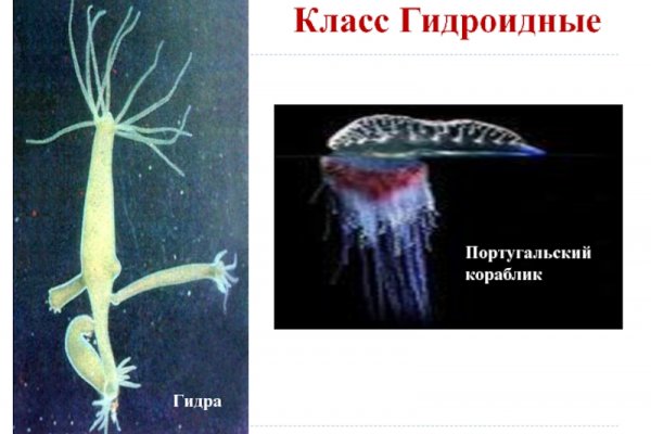 Kraken 2025 ссылка