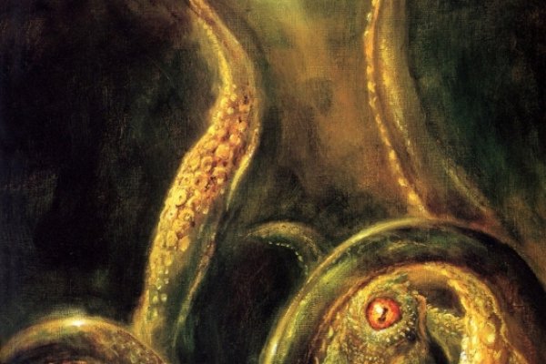 Kraken 6at