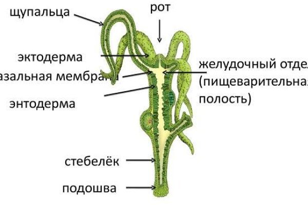 Kra44.at