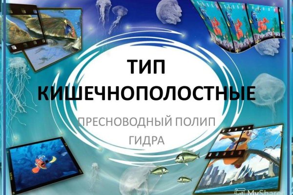 Сайт кракен тор